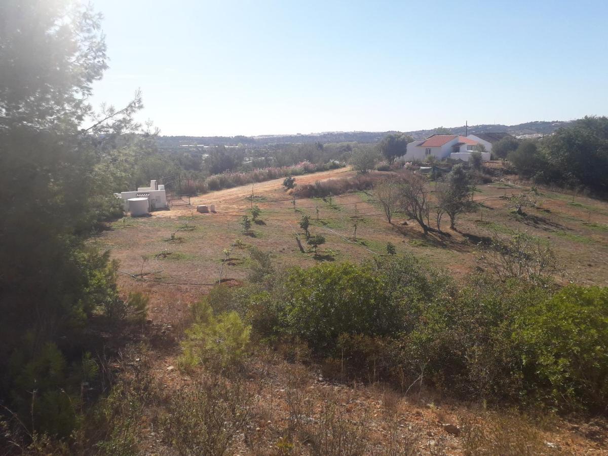 Quinta Da Jolanda-Happy Family Farm Apartment Lagos Exterior photo